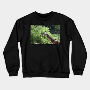 Masai Giraffe Crewneck Sweatshirt